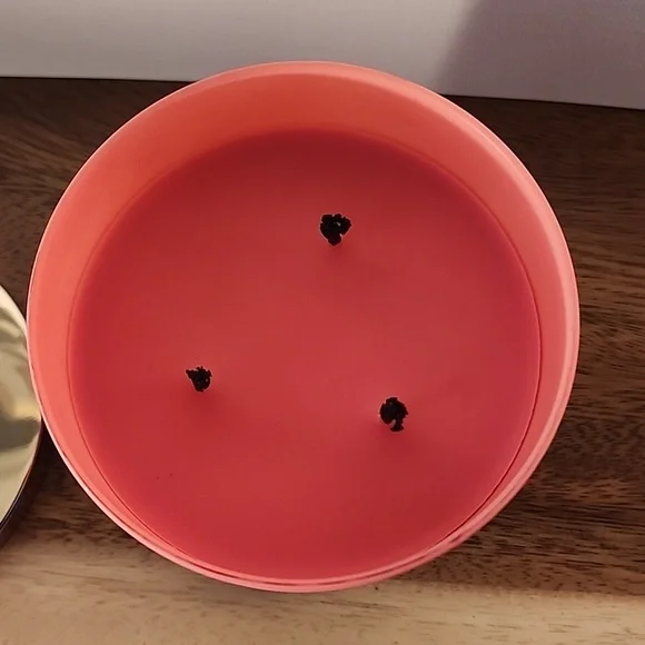 White Barn Crushed Candy Cane Candle - Picture 3 of 4